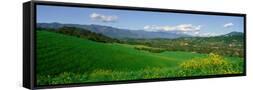 Canvas Black