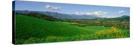 Stretched Canvas