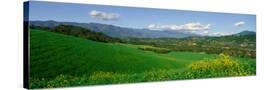 Stretched Canvas