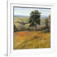 Field in Summer-Tim O'toole-Framed Art Print