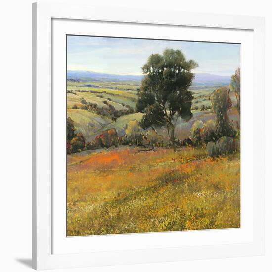 Field in Summer-Tim O'toole-Framed Art Print