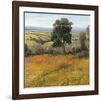 Field in Summer-Tim O'toole-Framed Art Print