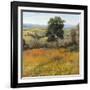 Field in Summer-Tim O'toole-Framed Art Print