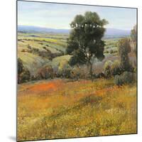 Field in Summer-Tim O'toole-Mounted Art Print