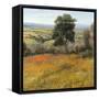 Field in Summer-Tim O'toole-Framed Stretched Canvas