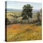 Field in Summer-Tim O'toole-Stretched Canvas