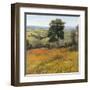 Field in Summer-Tim O'toole-Framed Art Print