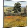 Field in Summer-Tim O'toole-Mounted Art Print