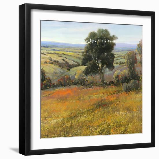 Field in Summer-Tim O'toole-Framed Art Print