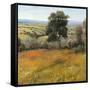 Field in Summer-Tim O'toole-Framed Stretched Canvas