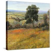 Field in Summer-Tim O'toole-Stretched Canvas