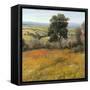 Field in Summer-Tim O'toole-Framed Stretched Canvas