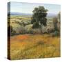 Field in Summer-Tim O'toole-Stretched Canvas