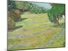 Field in Sunlight, c.1888-Vincent van Gogh-Mounted Giclee Print