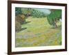 Field in Sunlight, c.1888-Vincent van Gogh-Framed Giclee Print