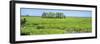 Field, Jean Lafitte National Park, New Orleans, Louisiana, USA-Panoramic Images-Framed Photographic Print