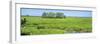 Field, Jean Lafitte National Park, New Orleans, Louisiana, USA-Panoramic Images-Framed Photographic Print