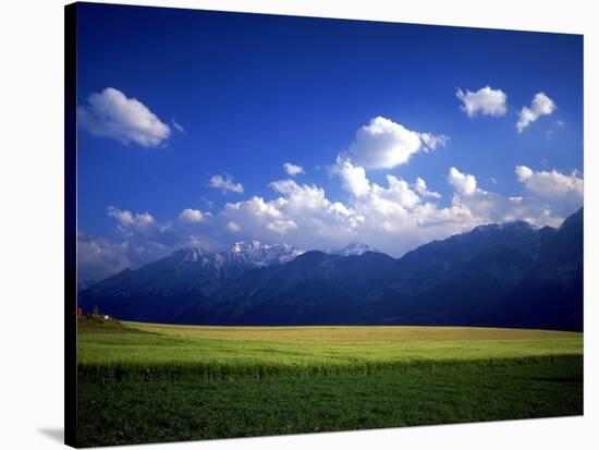 Field & Karwendel Mts, Aldrans, Tyrol, Austria-Walter Bibikow-Stretched Canvas