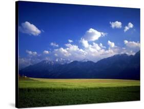 Field & Karwendel Mts, Aldrans, Tyrol, Austria-Walter Bibikow-Stretched Canvas