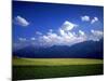 Field & Karwendel Mts, Aldrans, Tyrol, Austria-Walter Bibikow-Mounted Photographic Print