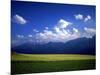 Field & Karwendel Mts, Aldrans, Tyrol, Austria-Walter Bibikow-Mounted Photographic Print