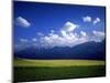 Field & Karwendel Mts, Aldrans, Tyrol, Austria-Walter Bibikow-Mounted Photographic Print