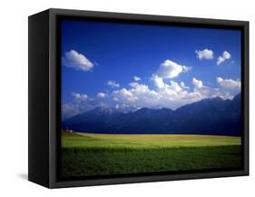Field & Karwendel Mts, Aldrans, Tyrol, Austria-Walter Bibikow-Framed Stretched Canvas