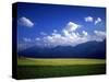 Field & Karwendel Mts, Aldrans, Tyrol, Austria-Walter Bibikow-Stretched Canvas