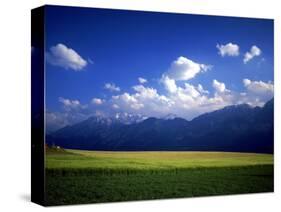 Field & Karwendel Mts, Aldrans, Tyrol, Austria-Walter Bibikow-Stretched Canvas