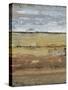 Field Layers I-Tim OToole-Stretched Canvas
