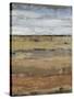 Field Layers II-Tim OToole-Stretched Canvas