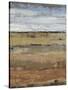 Field Layers II-Tim OToole-Stretched Canvas