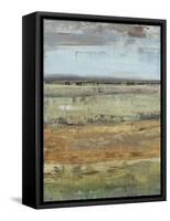 Field Layers III-Tim OToole-Framed Stretched Canvas