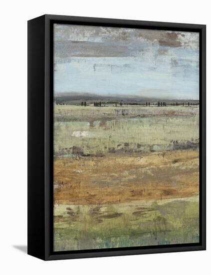 Field Layers III-Tim OToole-Framed Stretched Canvas