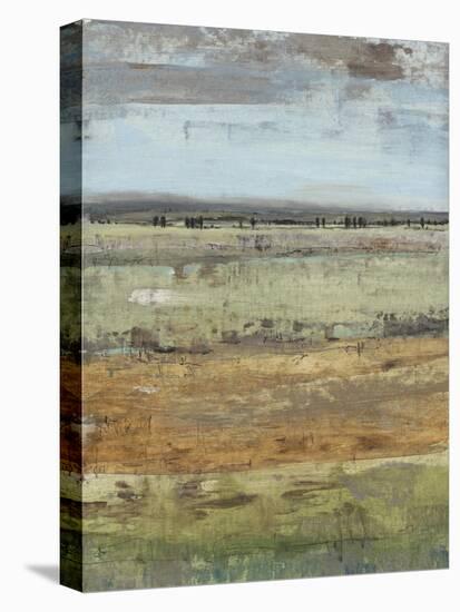 Field Layers III-Tim OToole-Stretched Canvas