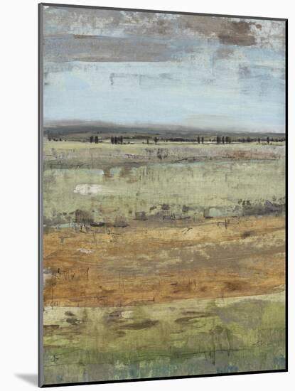 Field Layers III-Tim OToole-Mounted Art Print