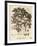 Field Maple, Acer Campestre., 1776 (Engraving)-Johann Sebastien Muller-Framed Giclee Print