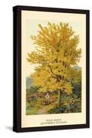 Field Maple-W.h.j. Boot-Stretched Canvas