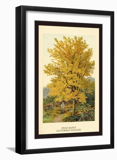 Field Maple-W.h.j. Boot-Framed Art Print
