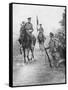 Field Marshal Douglas Haig Reviewing Canadian Troops, Drocourt-Queant, 31 August 1918-null-Framed Stretched Canvas