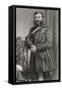 Field Marshal Sir John Linthorn Arabin Simmons, 1821-1903-null-Framed Stretched Canvas