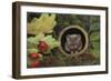 Field Mouse in Drain Pipe, 2020 (Pastel)-Margo Starkey-Framed Giclee Print