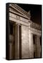 Field Museum of Chicago BW Number 2-Steve Gadomski-Framed Stretched Canvas