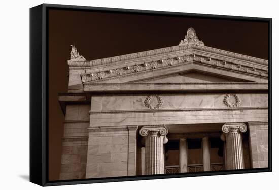 Field Museum of Chicago BW-Steve Gadomski-Framed Stretched Canvas