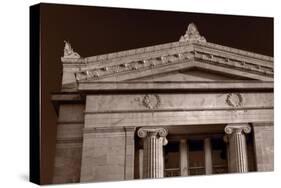 Field Museum of Chicago BW-Steve Gadomski-Stretched Canvas