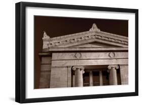 Field Museum of Chicago BW-Steve Gadomski-Framed Photographic Print