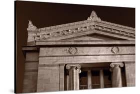 Field Museum of Chicago BW-Steve Gadomski-Stretched Canvas