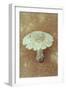 Field Mushroom-Den Reader-Framed Photographic Print