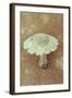 Field Mushroom-Den Reader-Framed Photographic Print