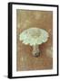 Field Mushroom-Den Reader-Framed Photographic Print